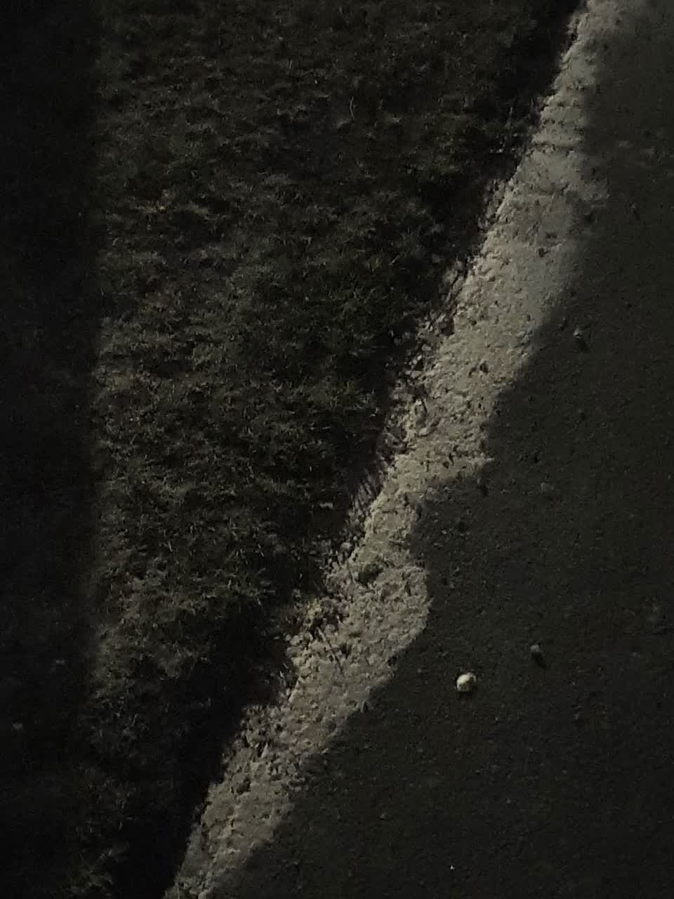 The photograph attached to this wastewater/stormwater report