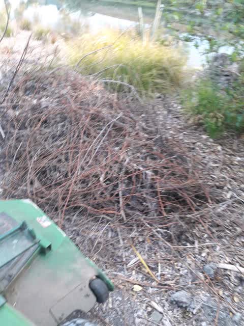 Parks, a report photo