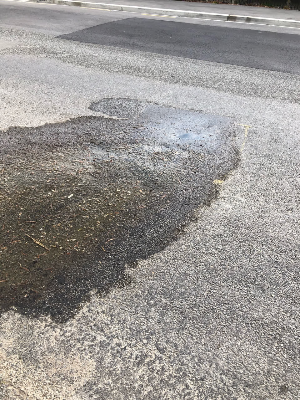 The photograph attached to this water leak report