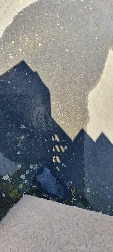 Water Supply, a report photo