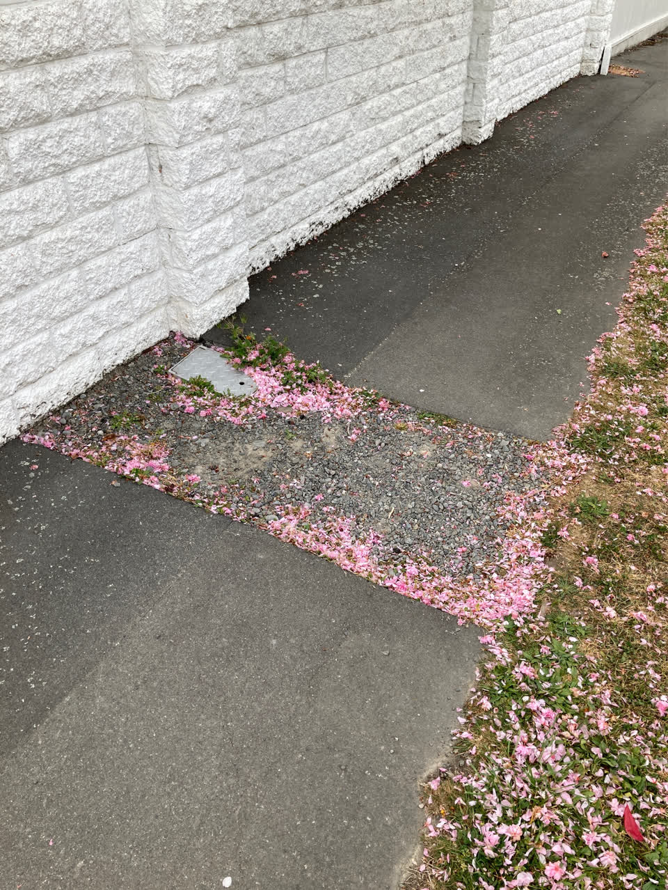 The photograph attached to this pavement - damaged report