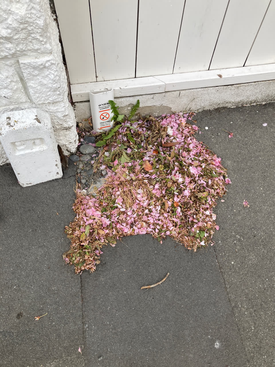 The photograph attached to this pavement - damaged report