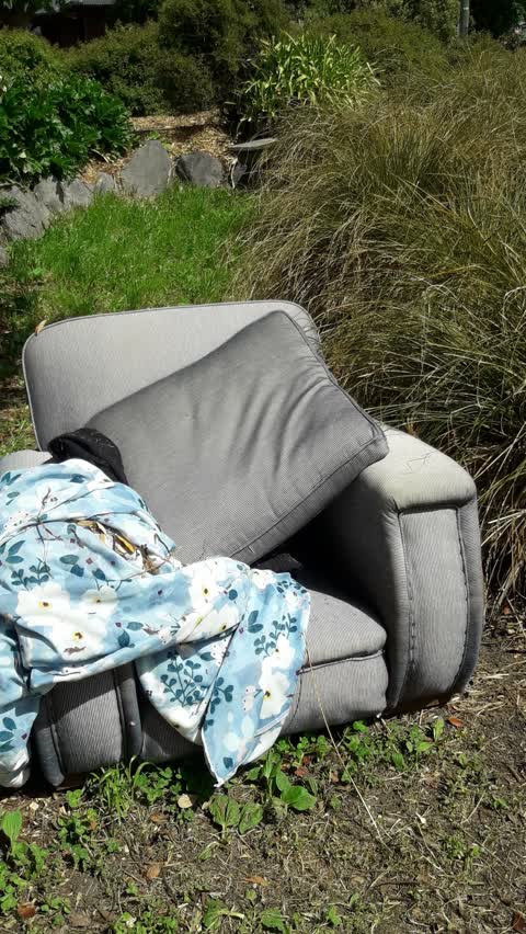 Dumped Rubbish, a report photo