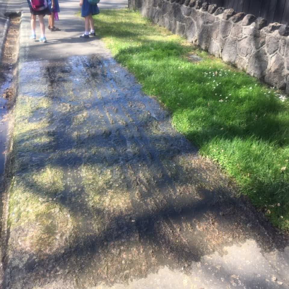 The photograph attached to this water leak report