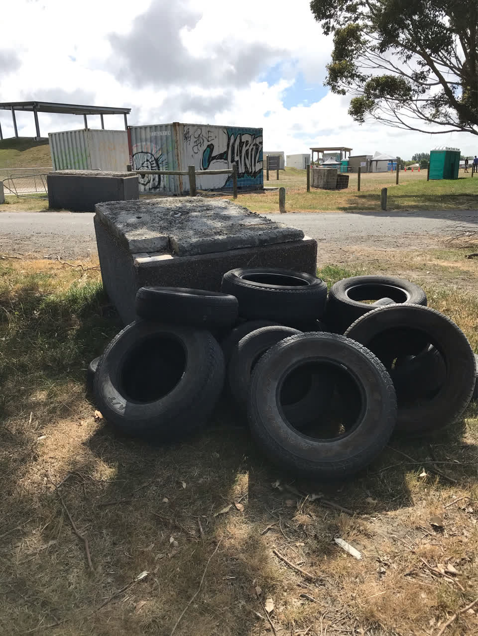 The photograph attached to this litter report
