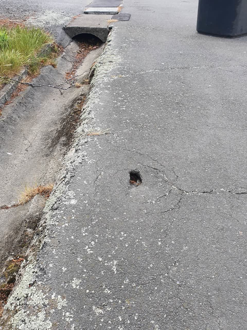 The photograph attached to this pavement - damaged report