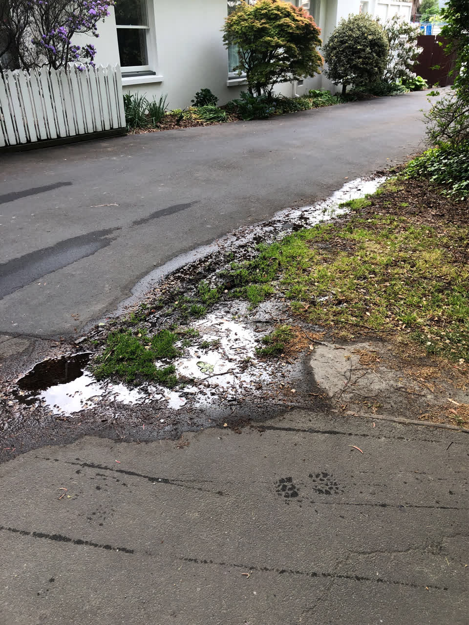 The photograph attached to this water leak report