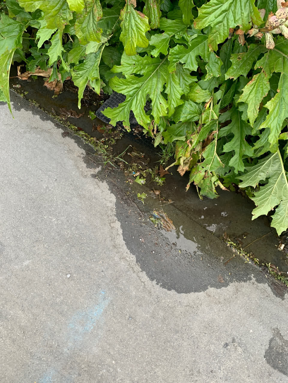 The photograph attached to this water leak report