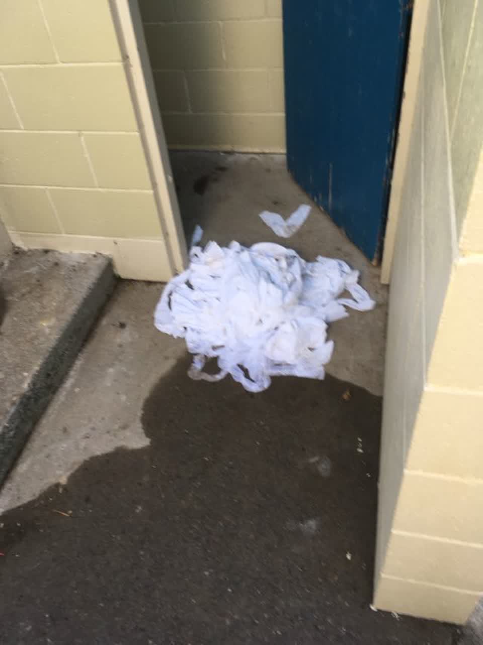The photograph attached to this vandalism - general report