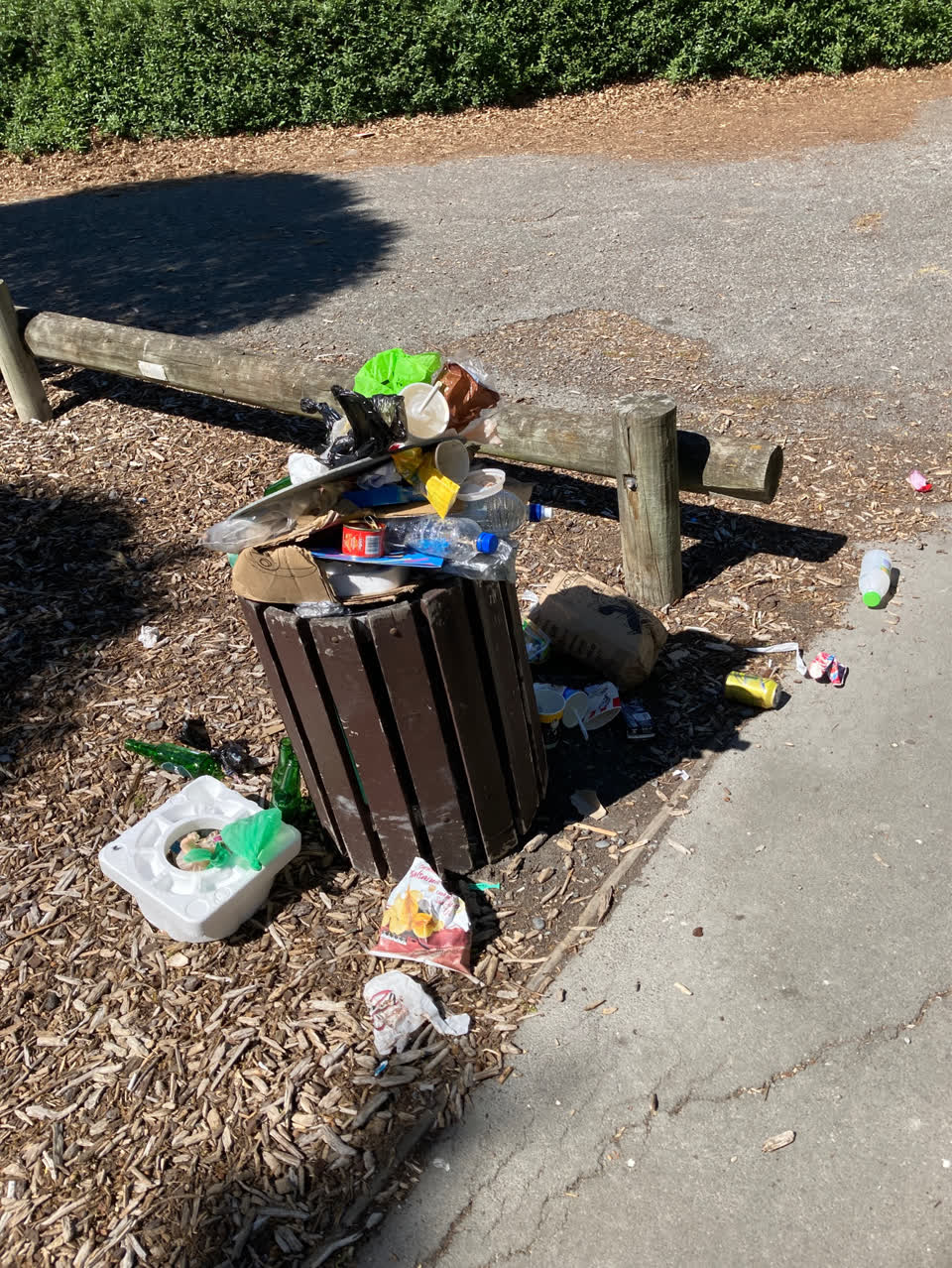 The photograph attached to this rubbish and bins - general report