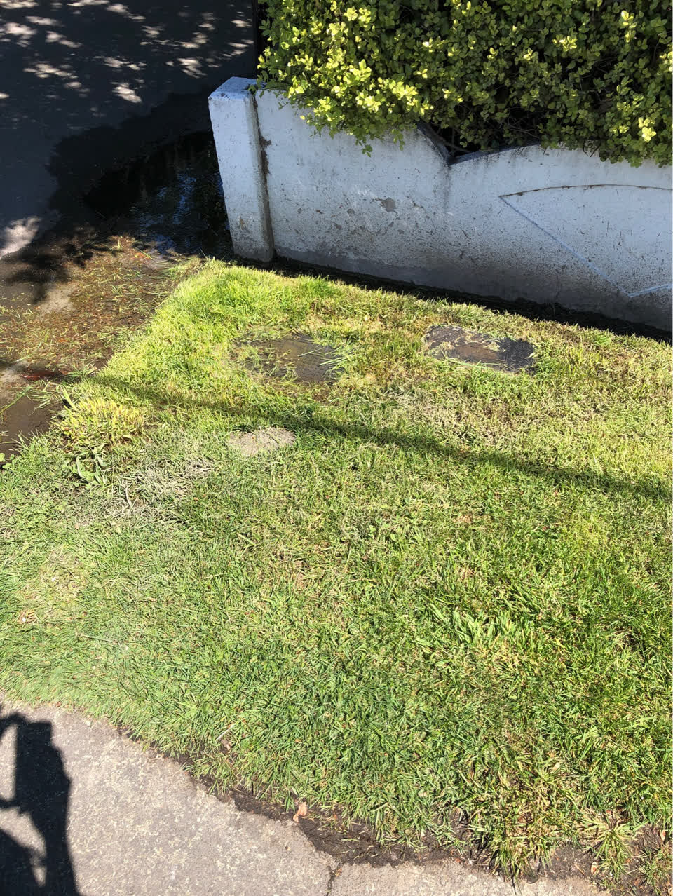 The photograph attached to this water leak report