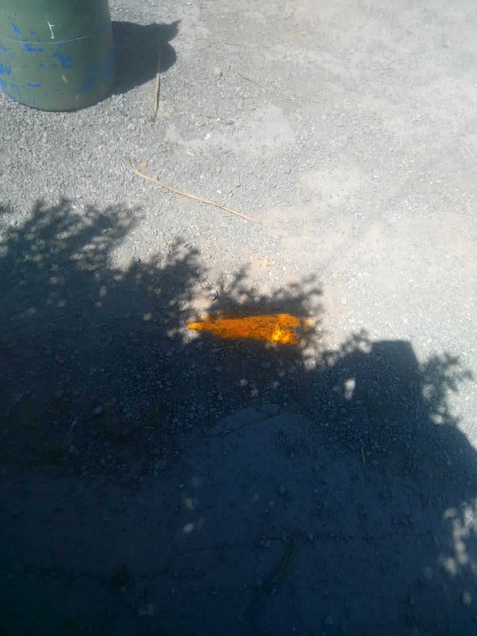 The photograph attached to this pavement - damaged report