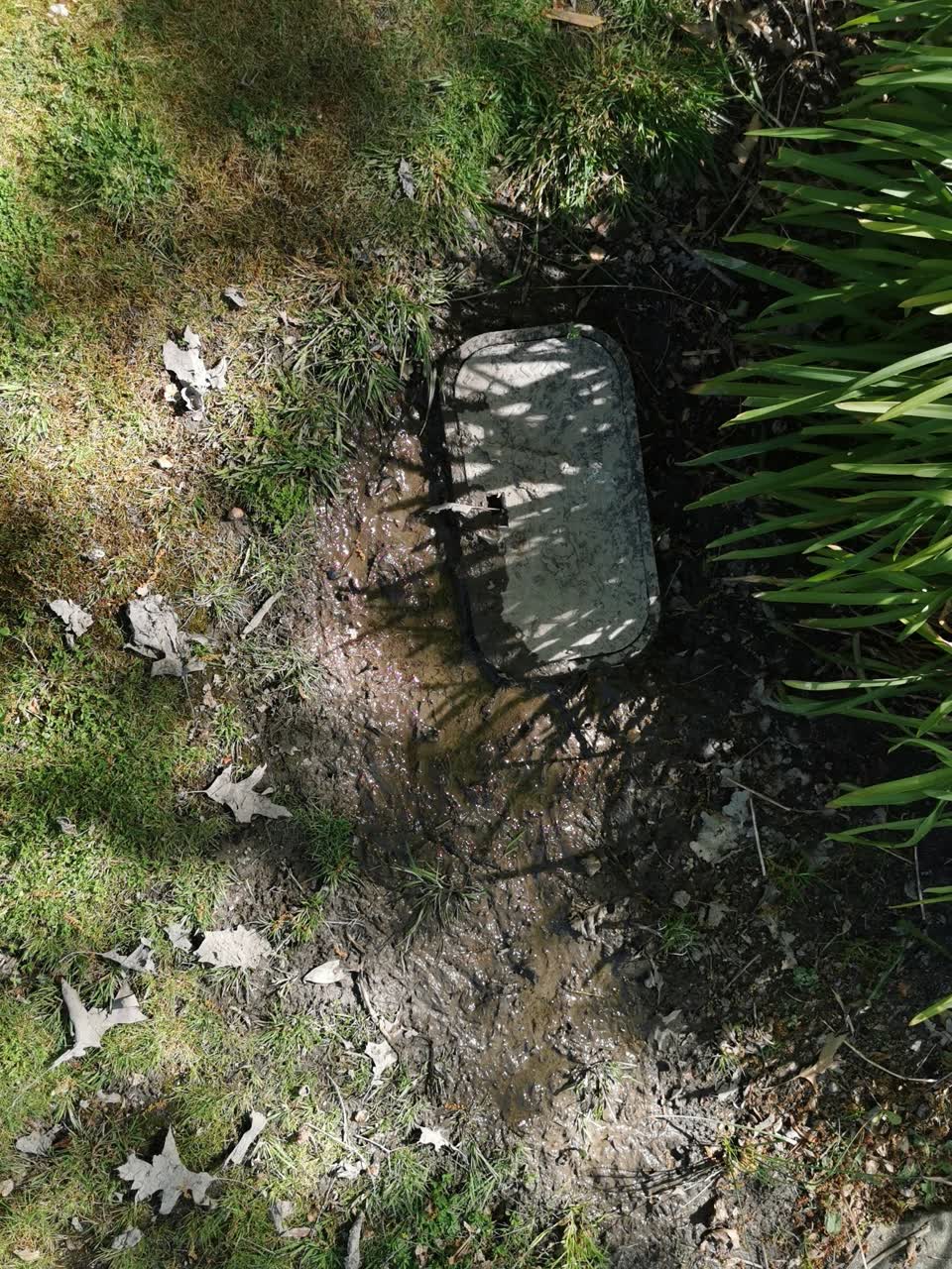The photograph attached to this water supply report