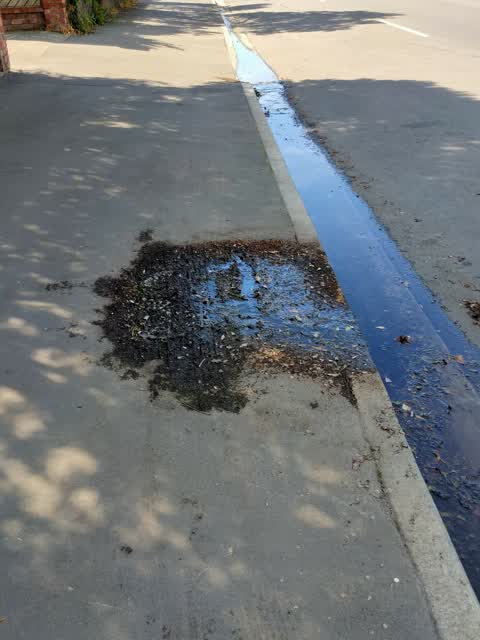 Water Leak, a report photo