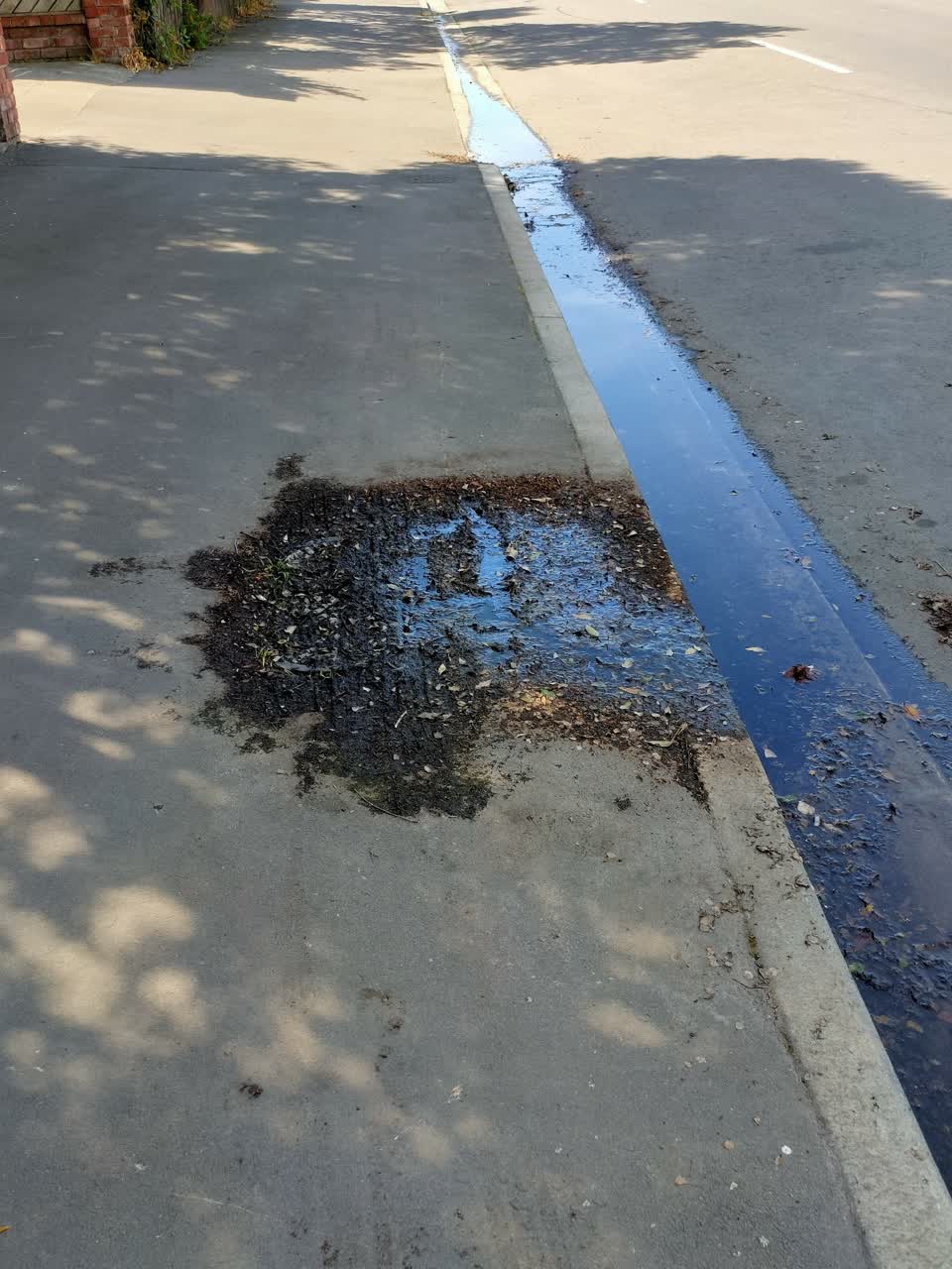 The photograph attached to this water leak report