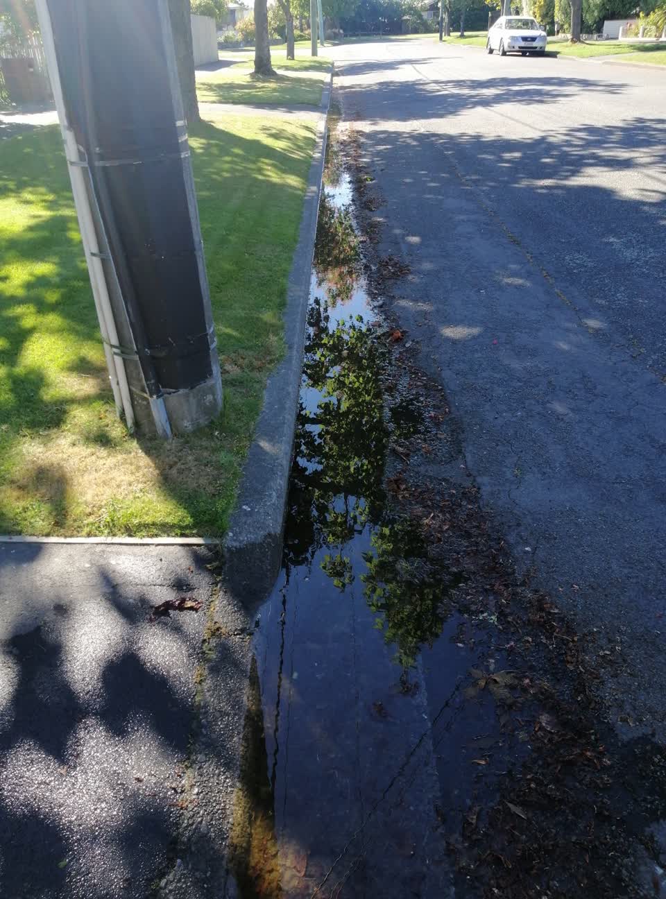 The photograph attached to this water general report