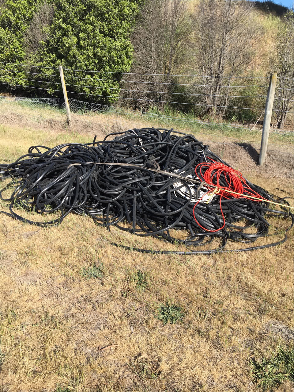 The photograph attached to this litter report