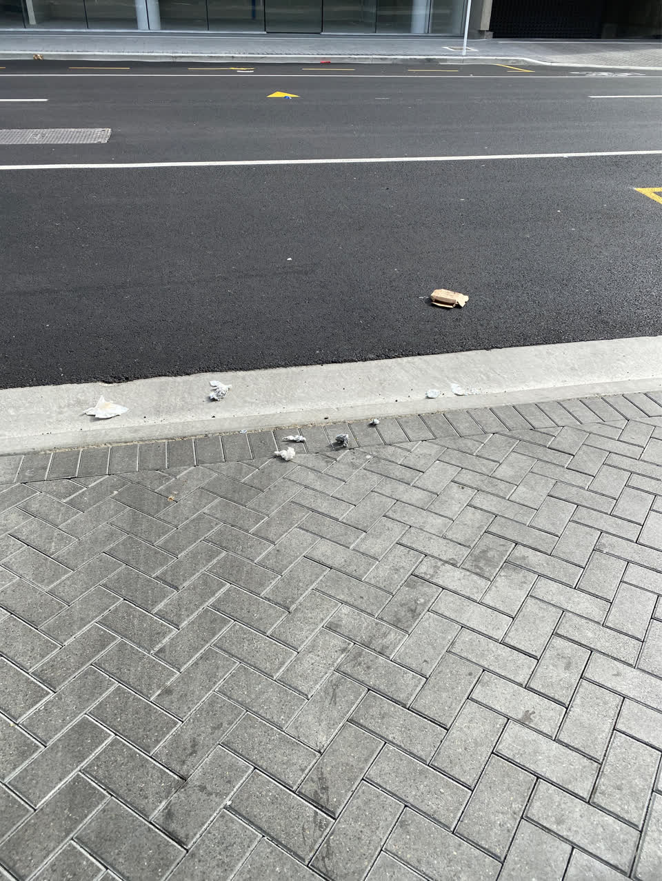 The photograph attached to this litter report