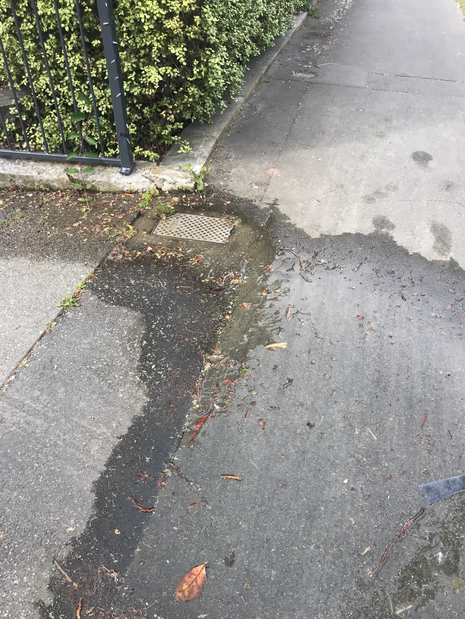 The photograph attached to this water general report