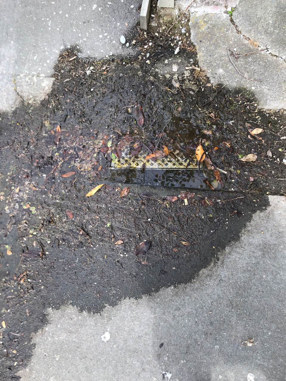 The photograph attached to this water supply report