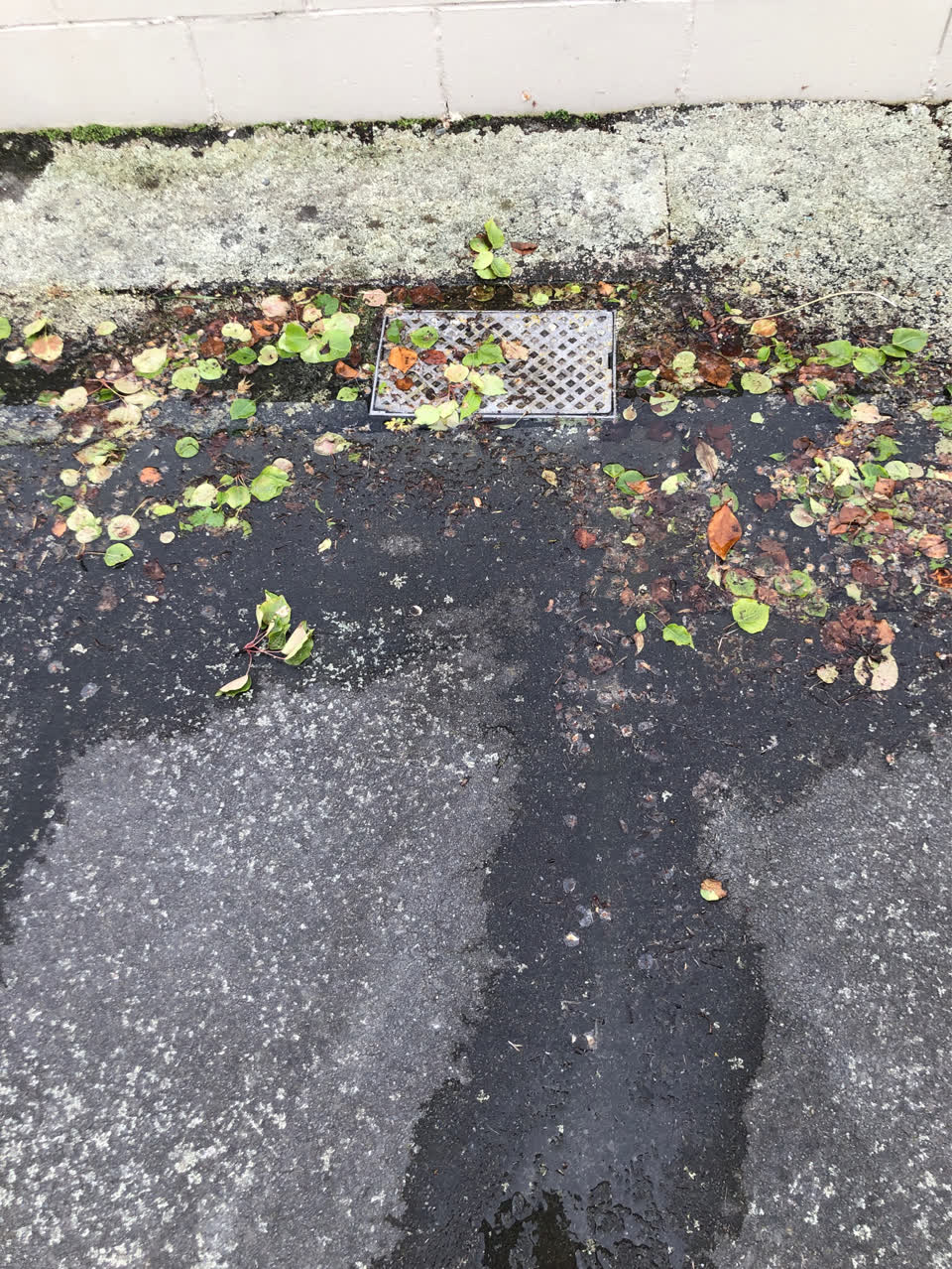 The photograph attached to this water supply report