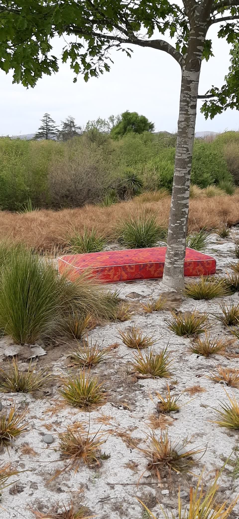 The photograph attached to this dumped rubbish report