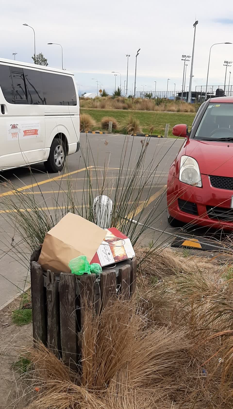 The photograph attached to this rubbish and bins - general report