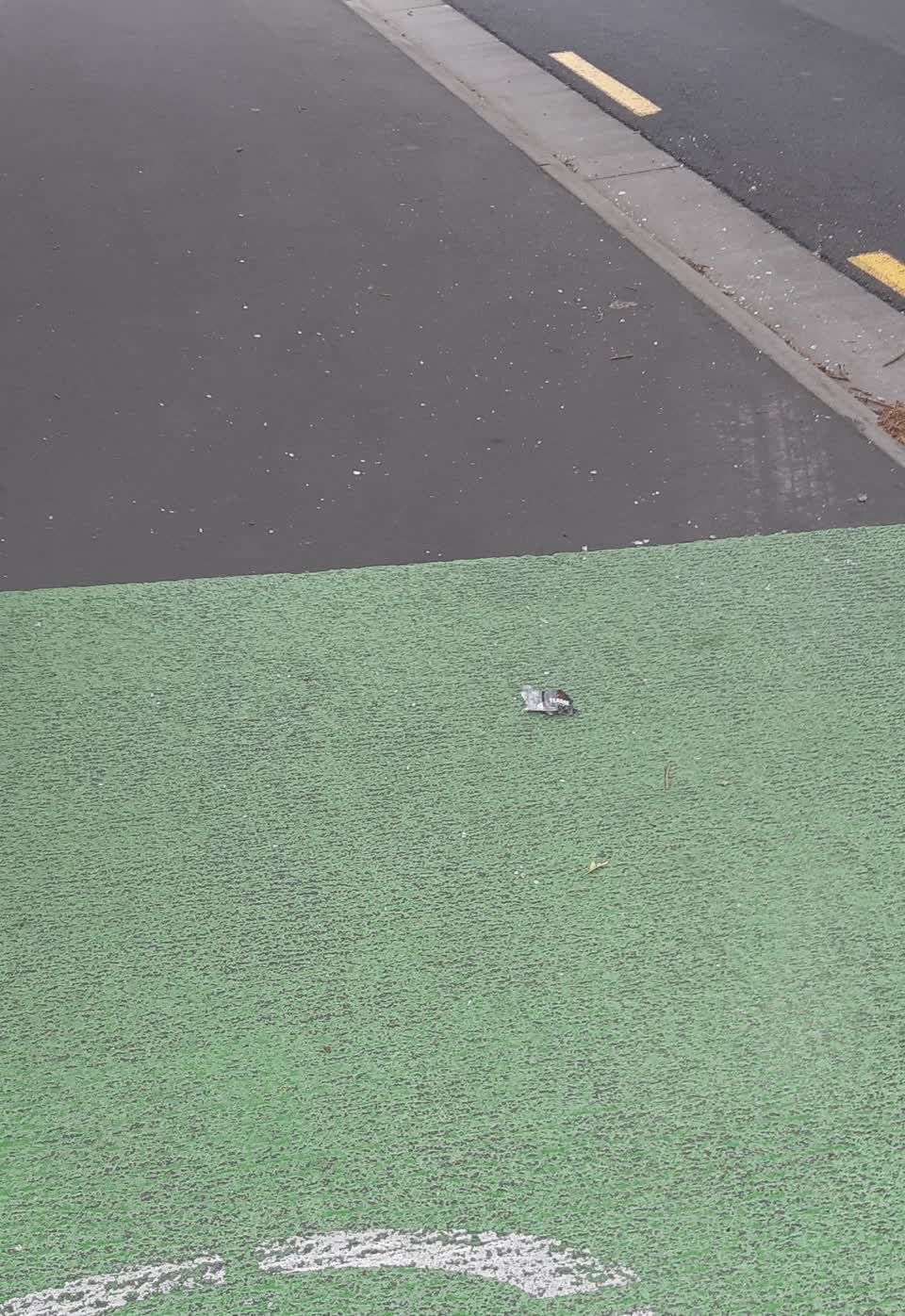 The photograph attached to this litter report
