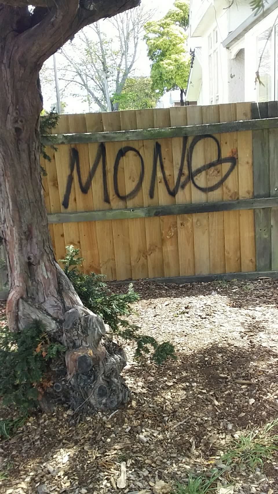 The photograph attached to this vandalism - general report