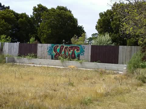 Graffiti, a report photo