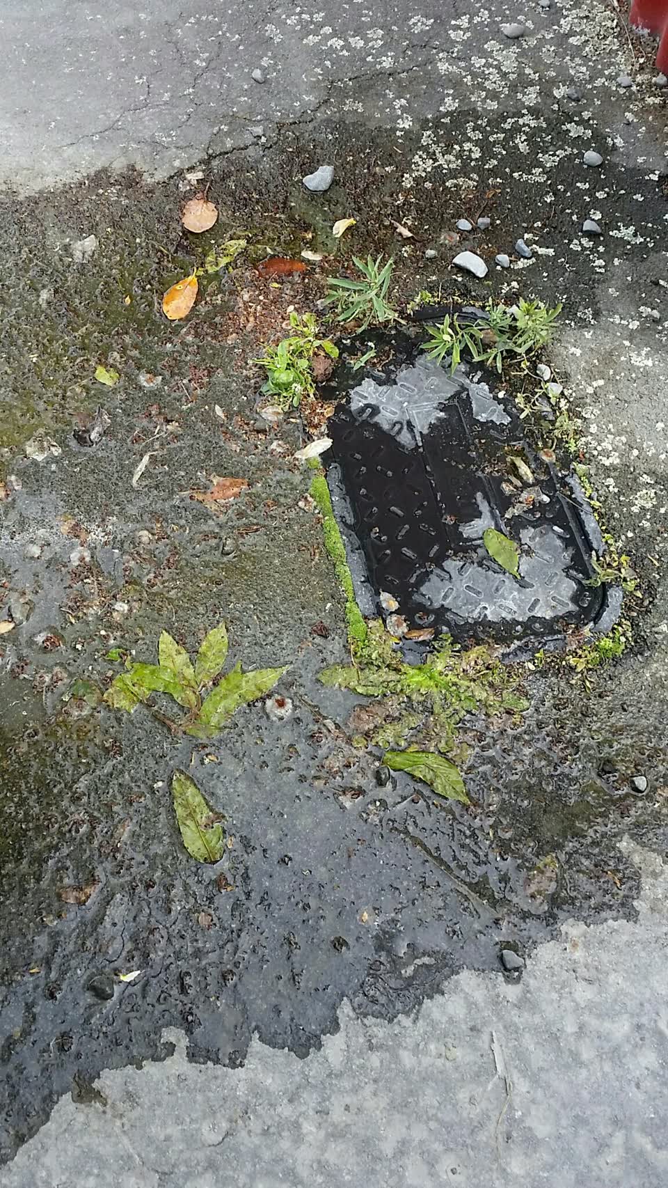 The photograph attached to this water leak report