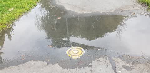 Water Leak, a report photo