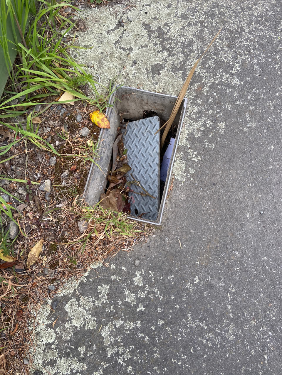 The photograph attached to this roads - general report