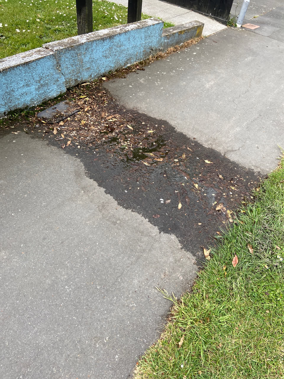 The photograph attached to this water leak report