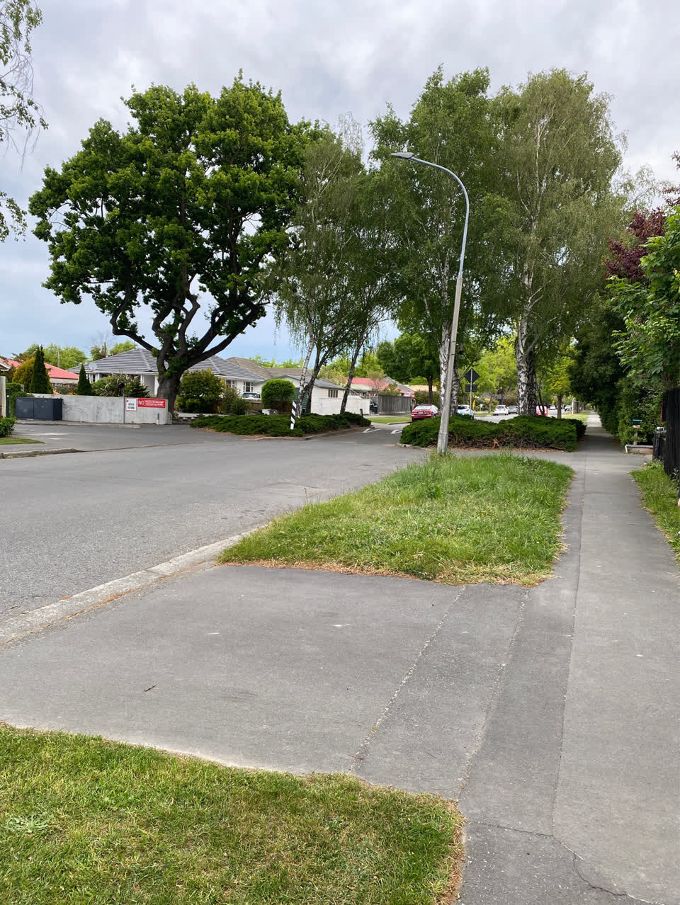 The photograph attached to this overgrown vegetation report