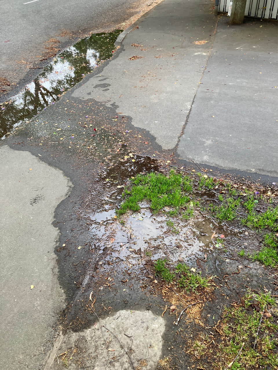 The photograph attached to this water leak report