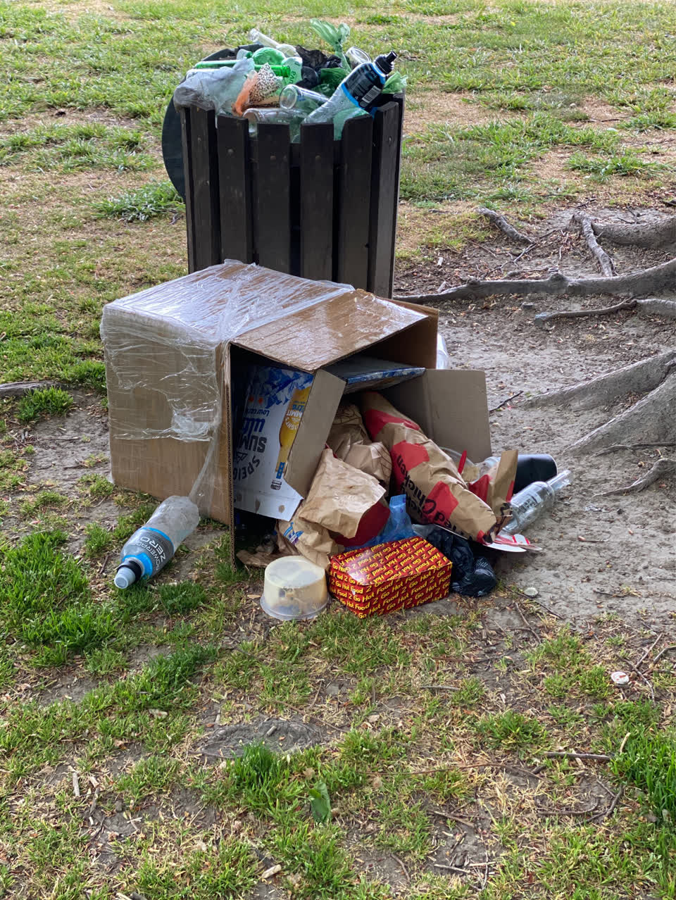 The photograph attached to this rubbish and bins - general report