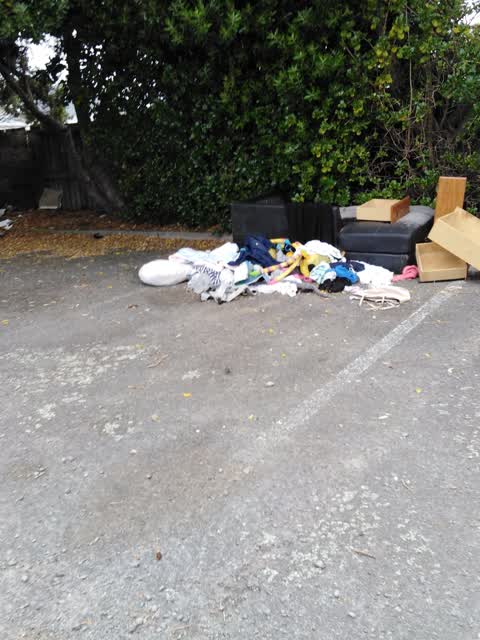 Rubbish and Bins - General, a report photo