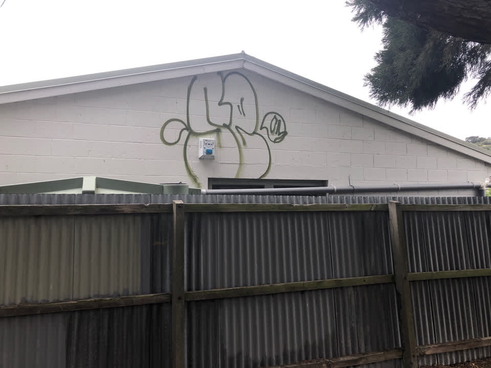 The photograph attached to this graffiti report