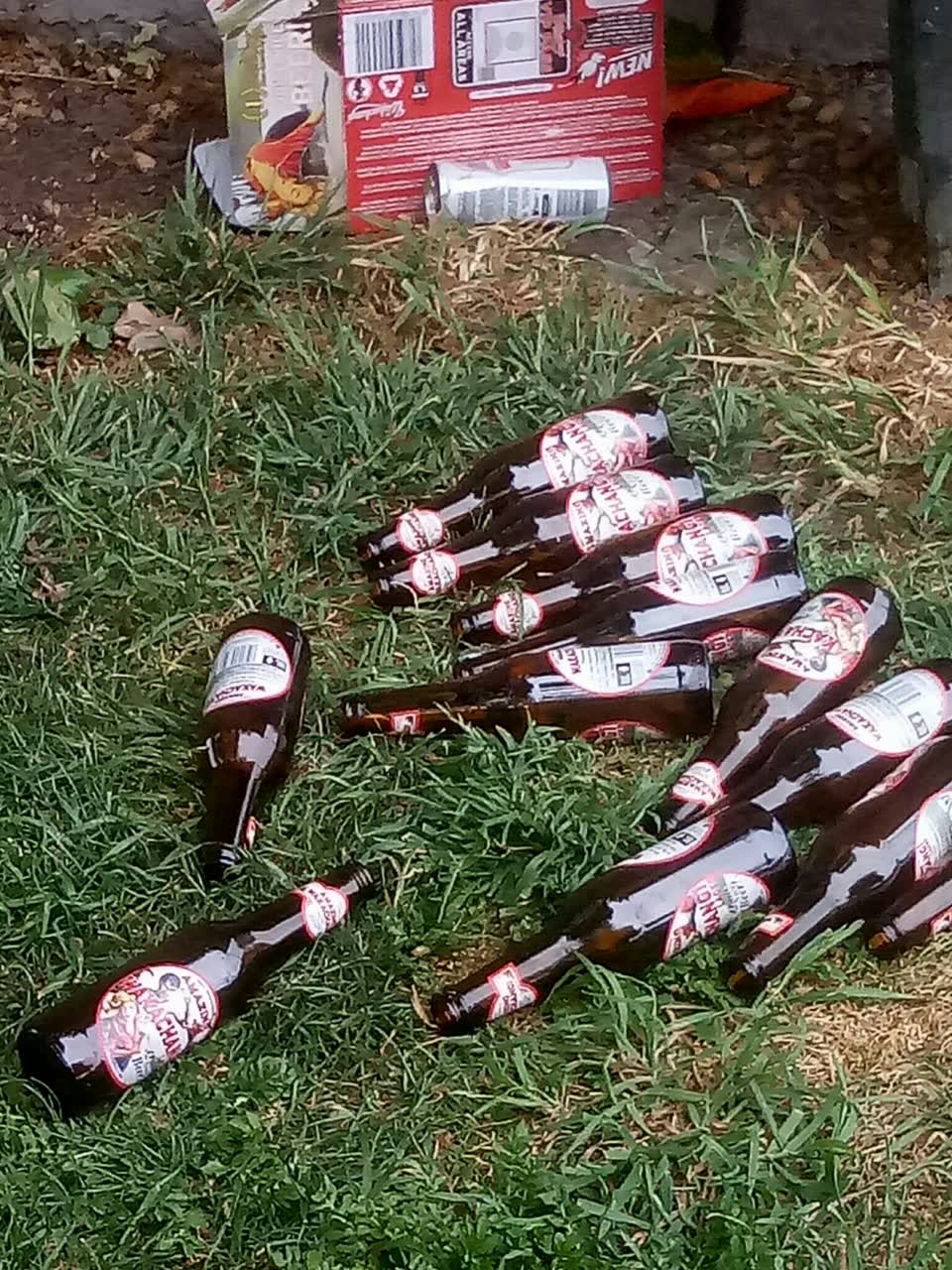The photograph attached to this litter report