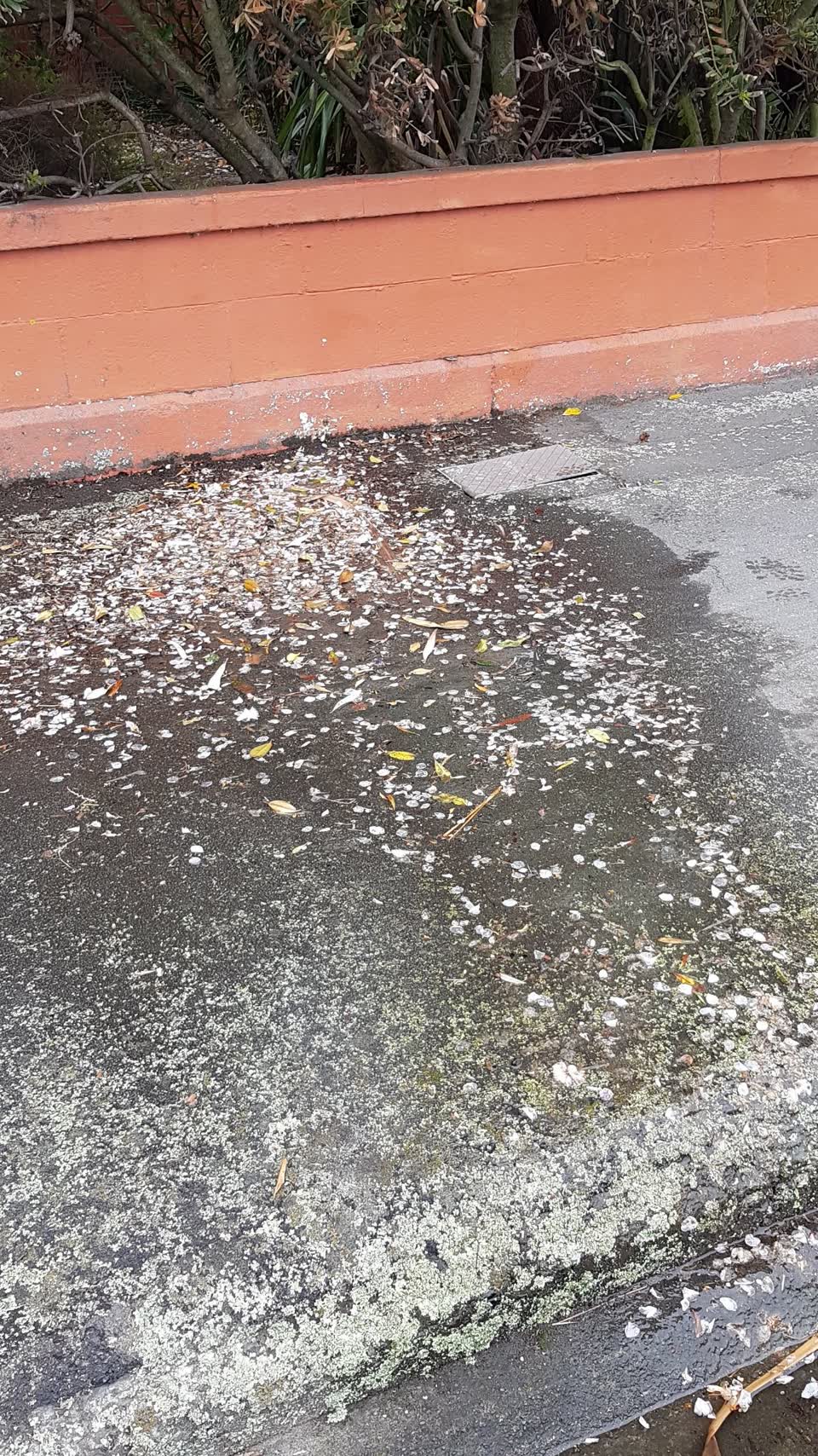 The photograph attached to this water general report