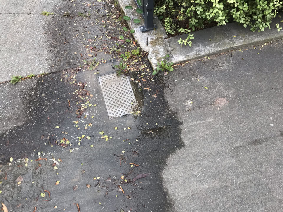 The photograph attached to this water leak report