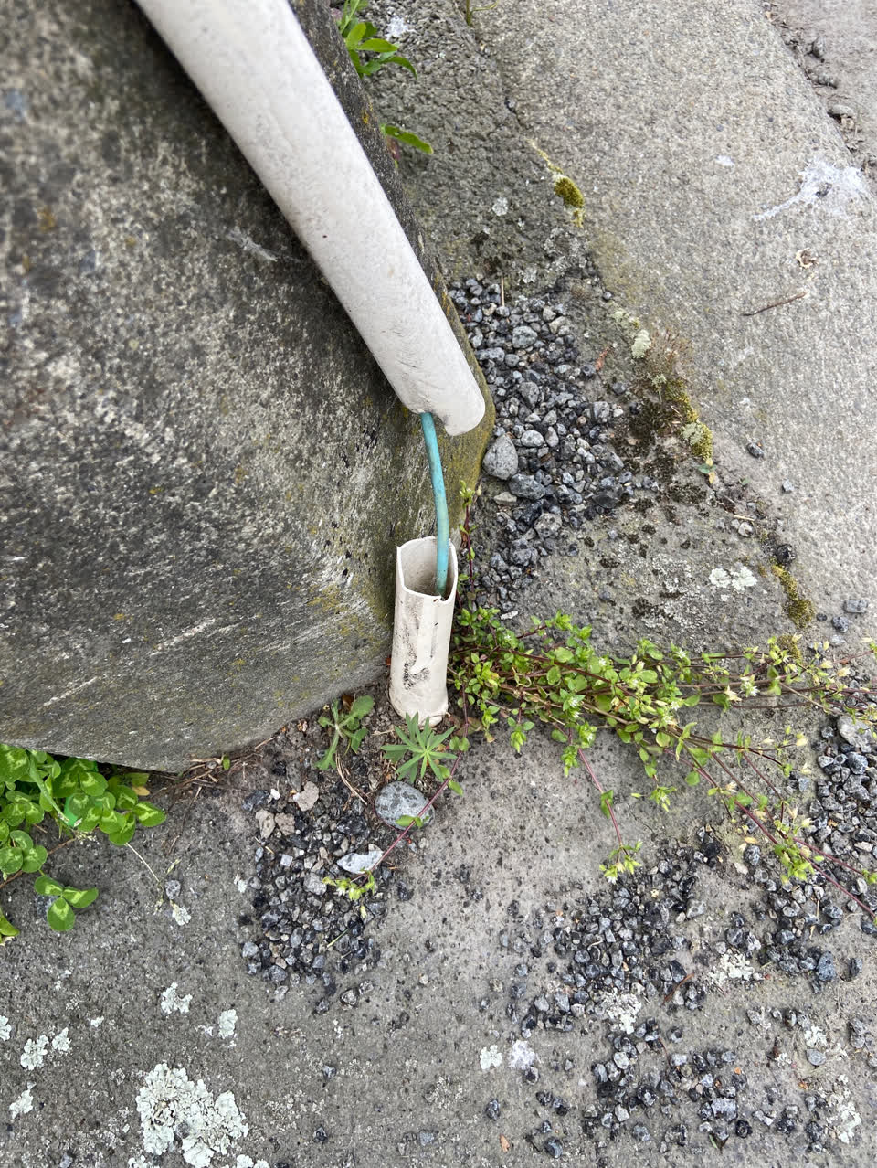 The photograph attached to this vandalism - general report