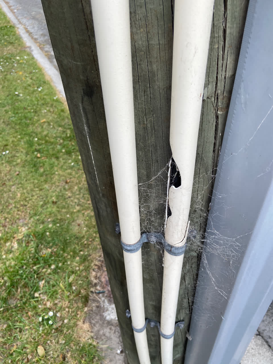 The photograph attached to this vandalism - general report