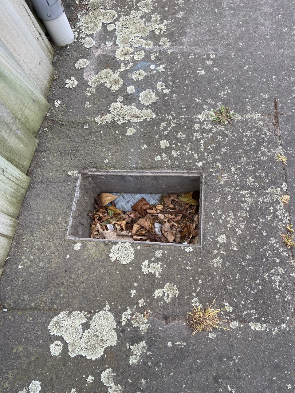 The photograph attached to this roads - general report