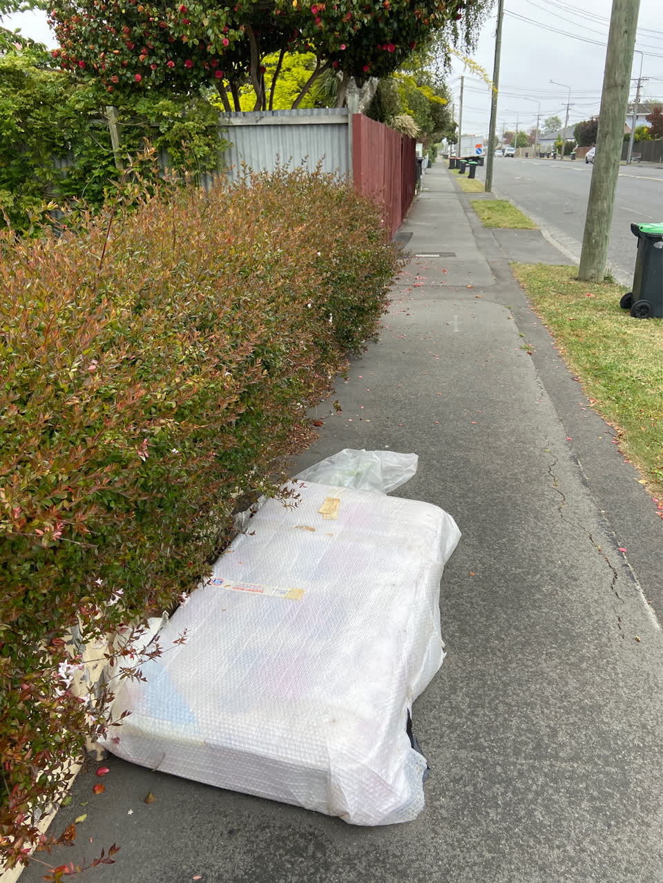 The photograph attached to this dumped rubbish report