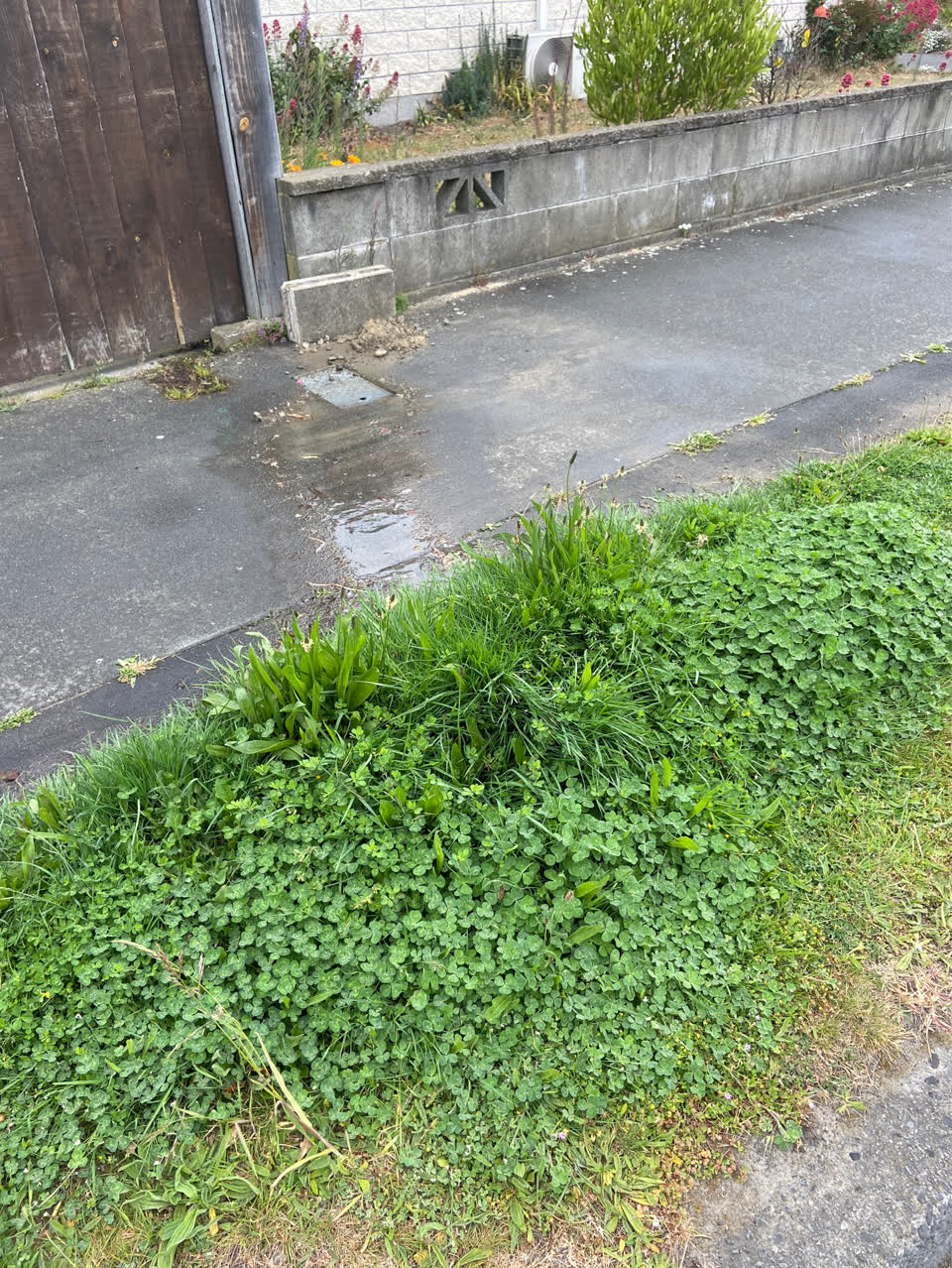 The photograph attached to this water leak report