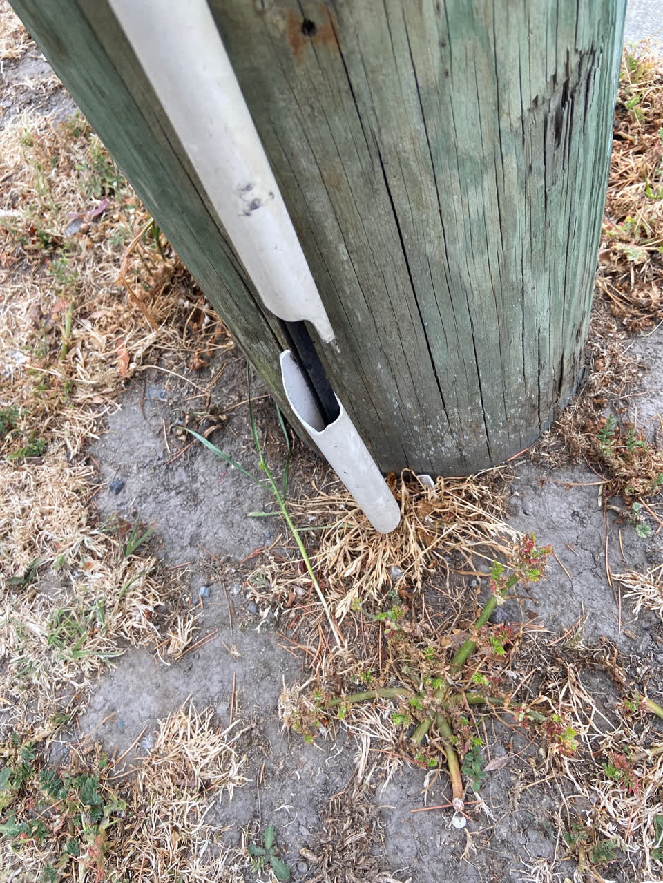 The photograph attached to this vandalism - general report
