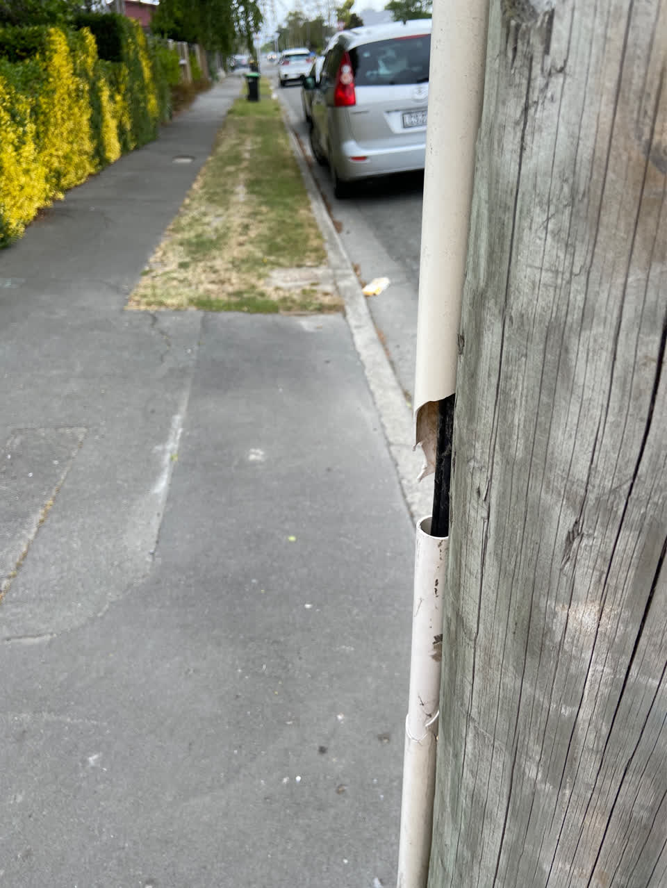 The photograph attached to this vandalism - general report