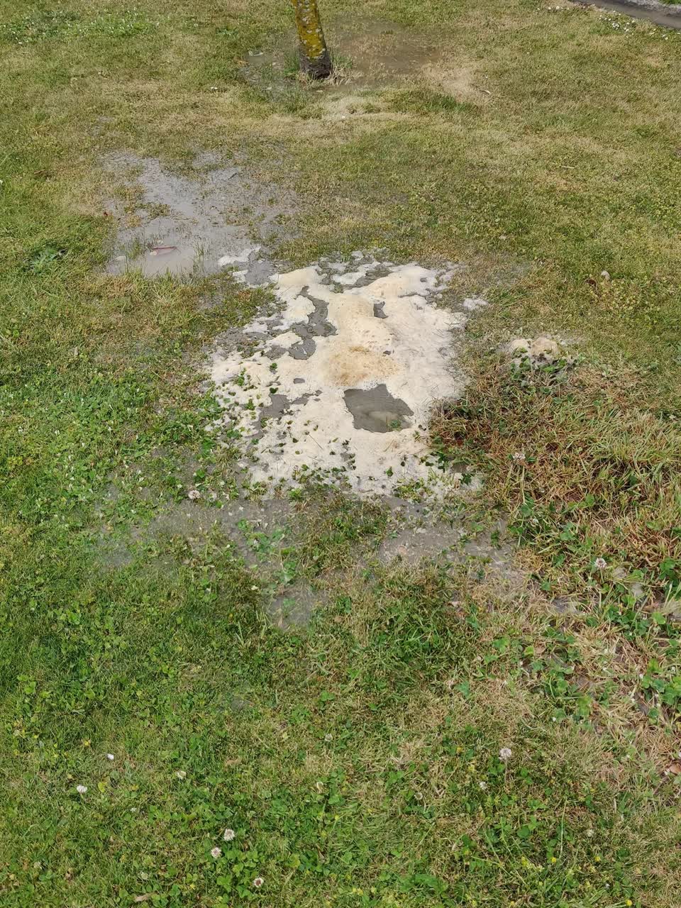 The photograph attached to this sewer - leak / blockage report